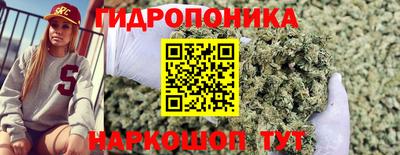 дмт Обнинск